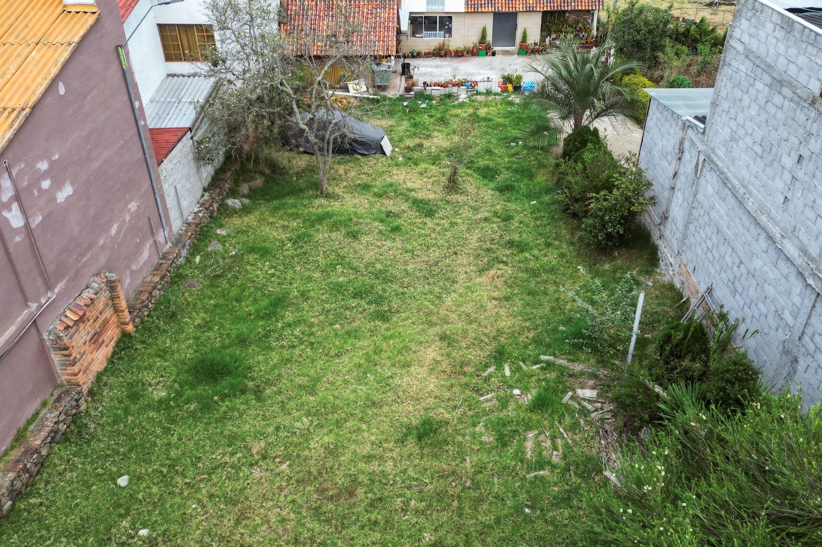 Imagen 3